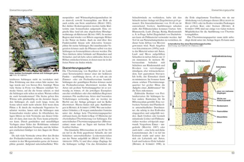 Preview: Freilandterrarien für Schlangen